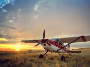 N192jr Wild 2