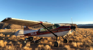 N192jr Wild 6