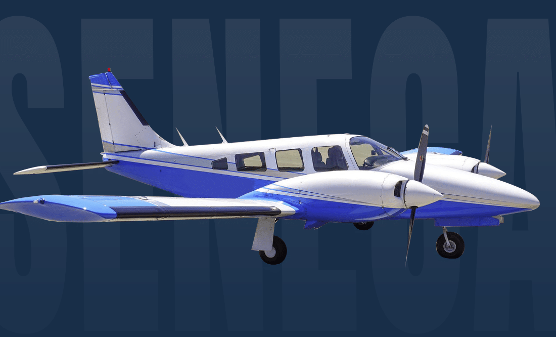 Piper Seneca